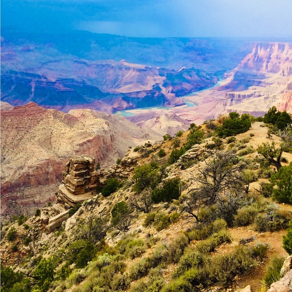 Meet your Posher, Darlene - Picture 2 of 2